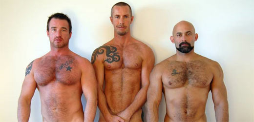 Alphamale fuckers cliquer ici