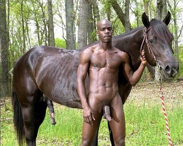 Bite Black cheval TBM